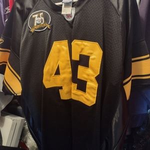 Troy Polamalu jersey